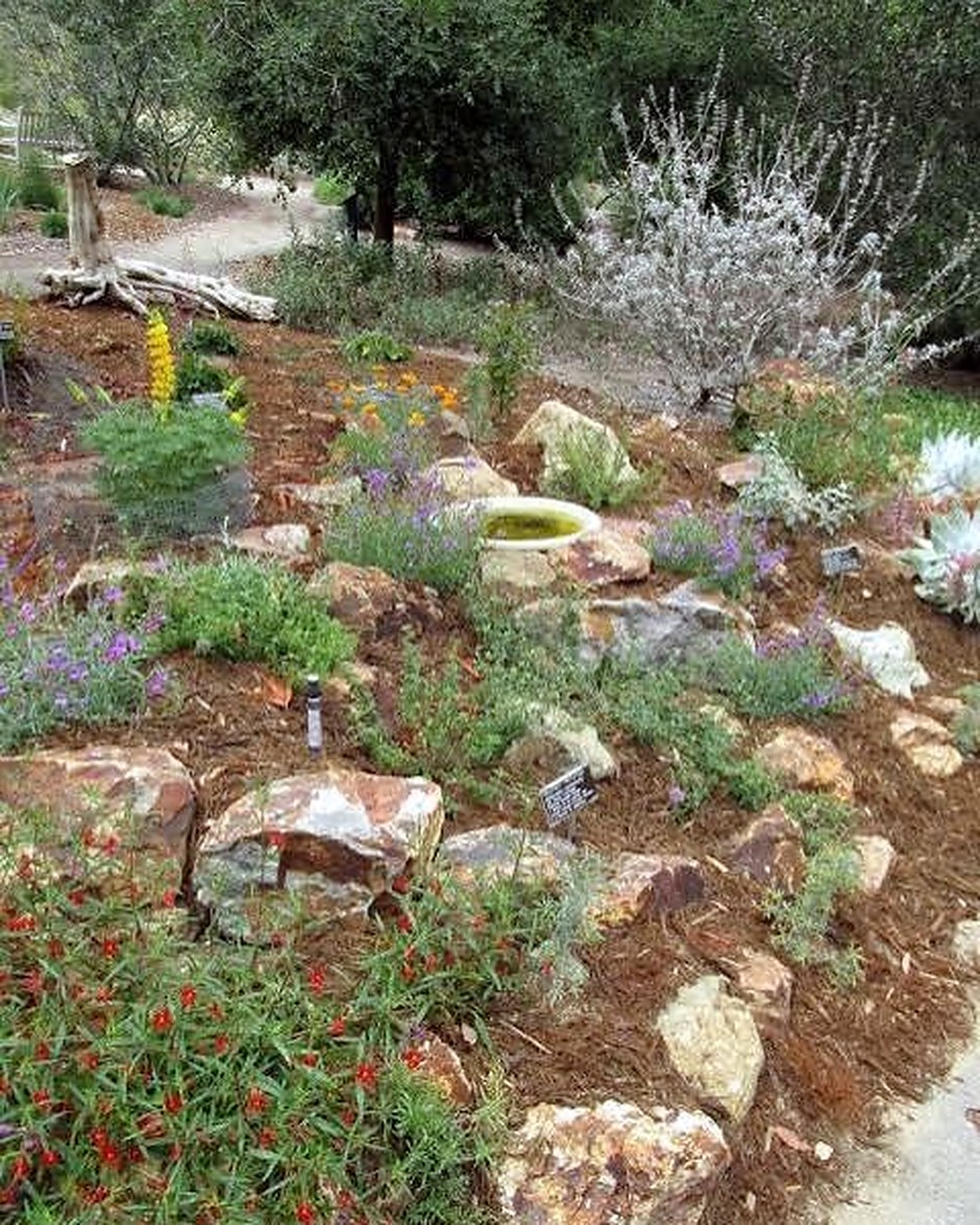 A native planting of boulders, low flowering shrubs and a stone birdbath on a mulched slope